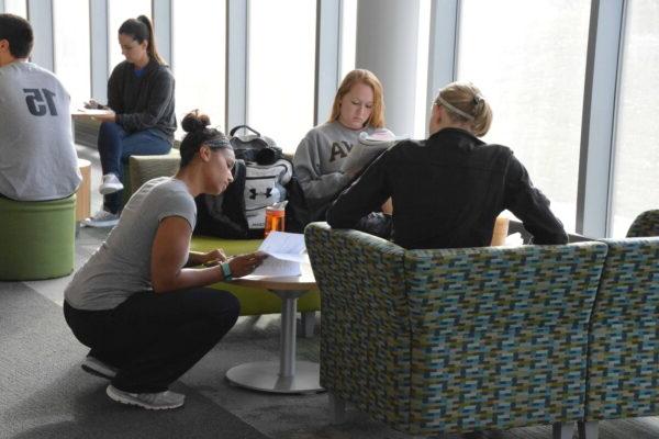 Group of students studying in the Health Sciences Center